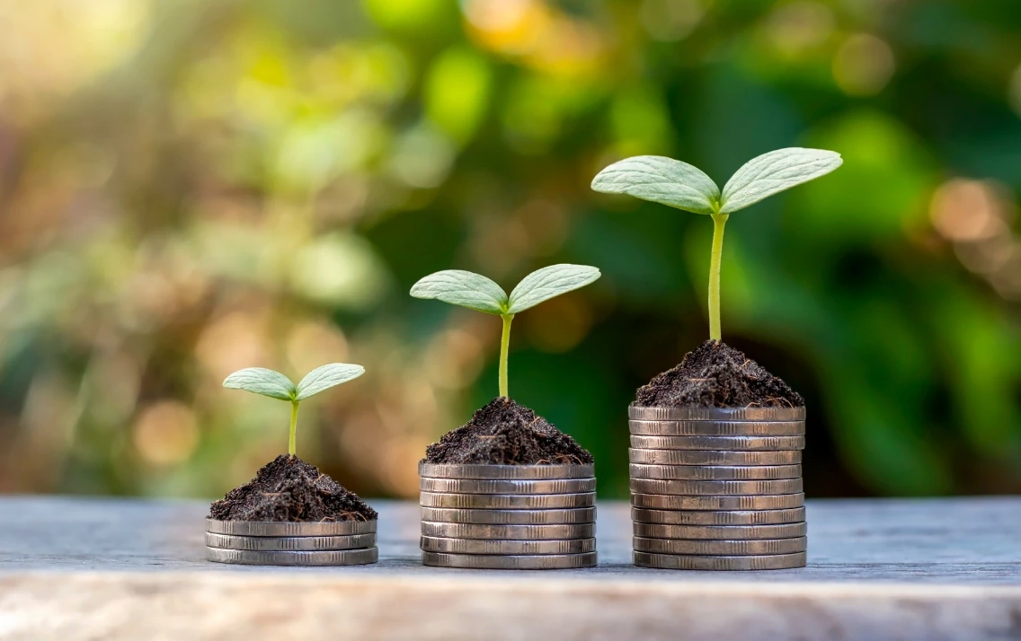 Three different size stacks of coins, each with a small plant on top at different growth stages